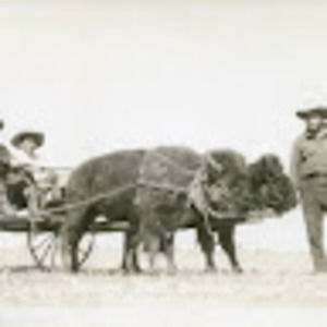 Meet your Posher, Max